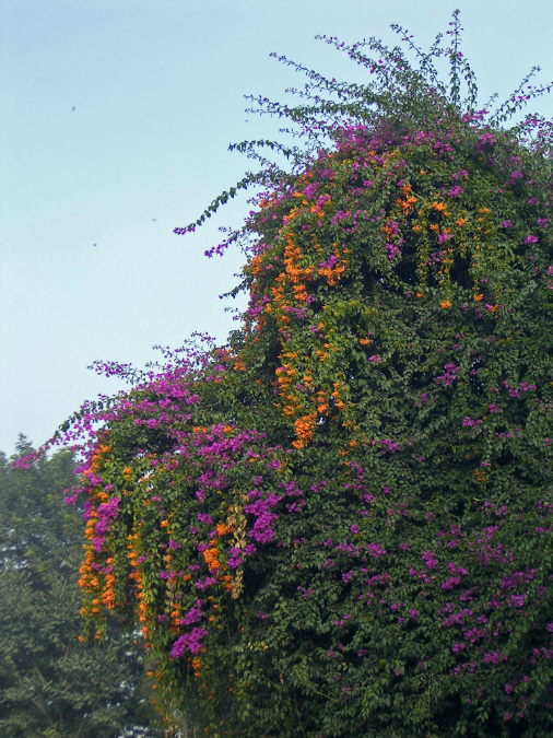 PICT0023