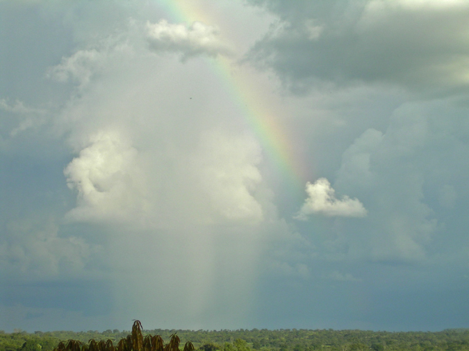PICT0052