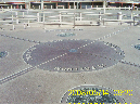PIC_0110a