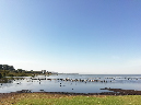 IMG_20190202_093727