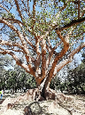 IMG_20190202_103518