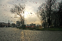 _MG_6510