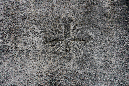 _MG_0171l