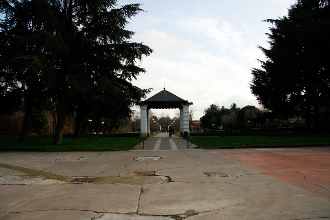 _MG_0139d