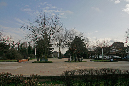 _MG_0139