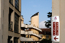 _MG_0206x