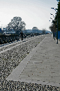 _MG_0955x