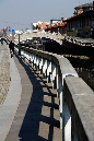 _MG_0956x