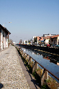 _MG_0974x