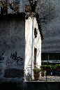 _MG_0979jx