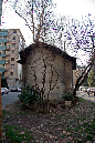 _MG_0987x