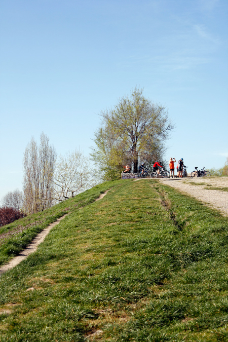 _MG_0046