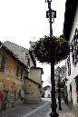 _MG_0018