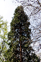 _MG_0297p