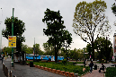 _MG_0087