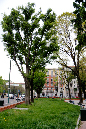 _MG_0095p