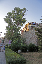 _MG_0015