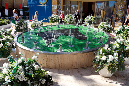_MG_0067p
