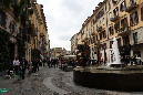 _MG_0156