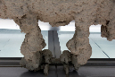 _MG_0075p