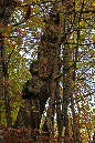 _MG_0026