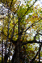 _MG_0029