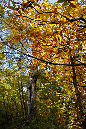 _MG_0039