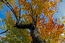 _MG_0040