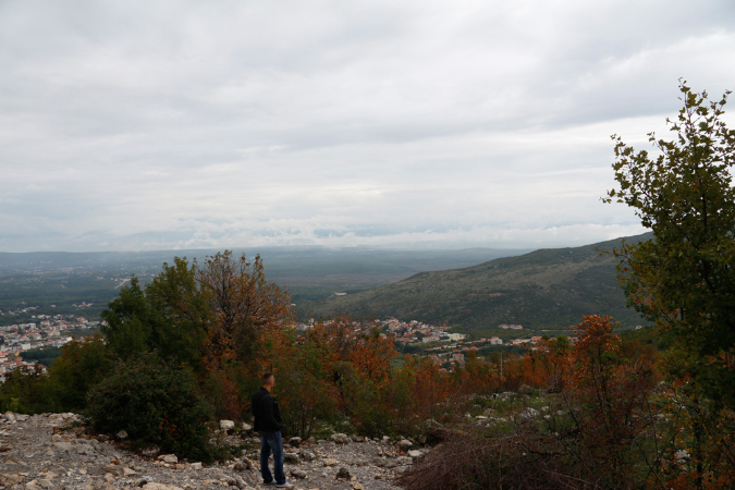 _MG_0260