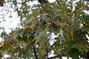 _MG_0054