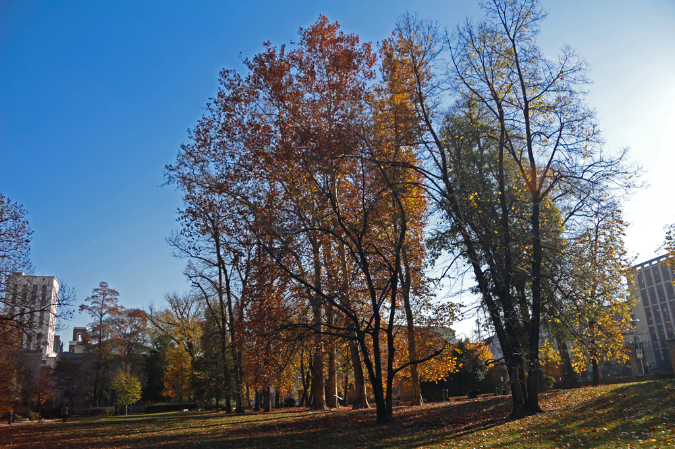 _MG_0111