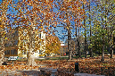 _MG_0114p