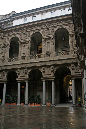 _MG_0048q