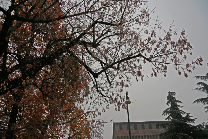 _MG_0015