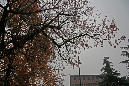 _MG_0015