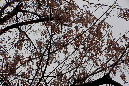 _MG_0016