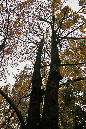 _MG_0048p