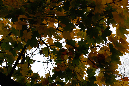 _MG_0056
