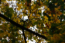 _MG_0057