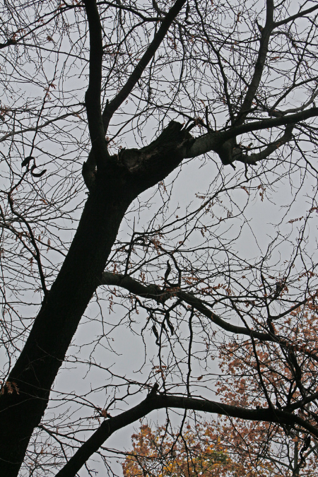 _MG_0061