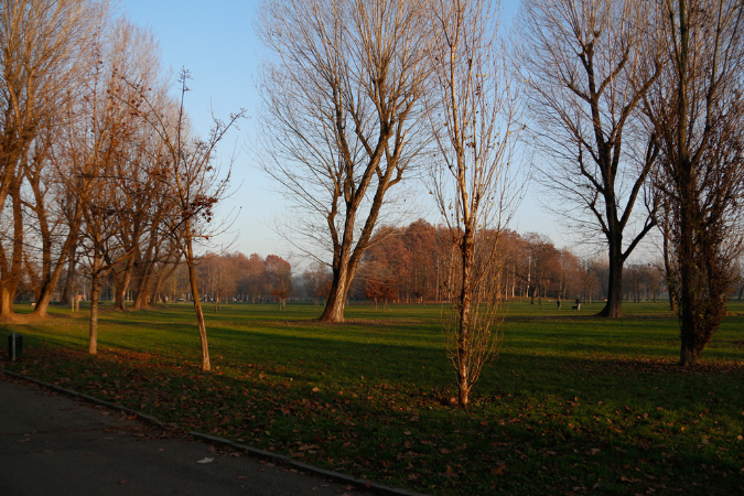 _MG_0190
