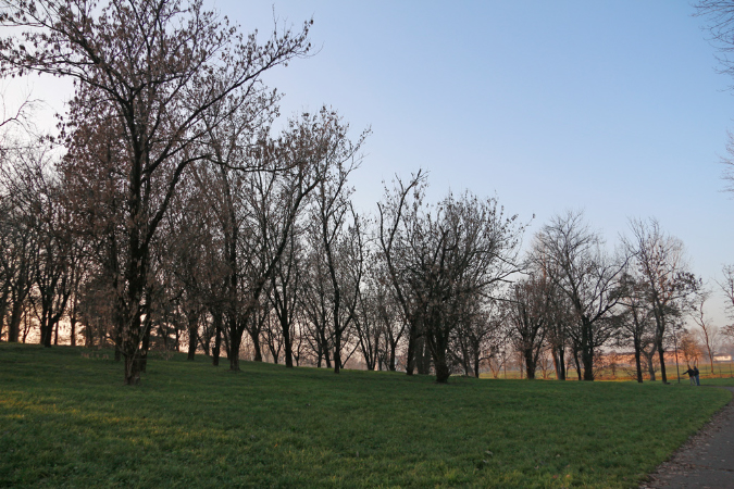 _MG_0202