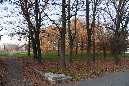 _MG_0189