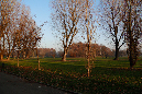 _MG_0190