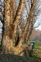 _MG_0192