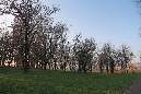 _MG_0202