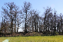 _MG_0190