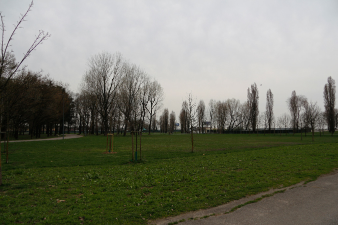_MG_0031