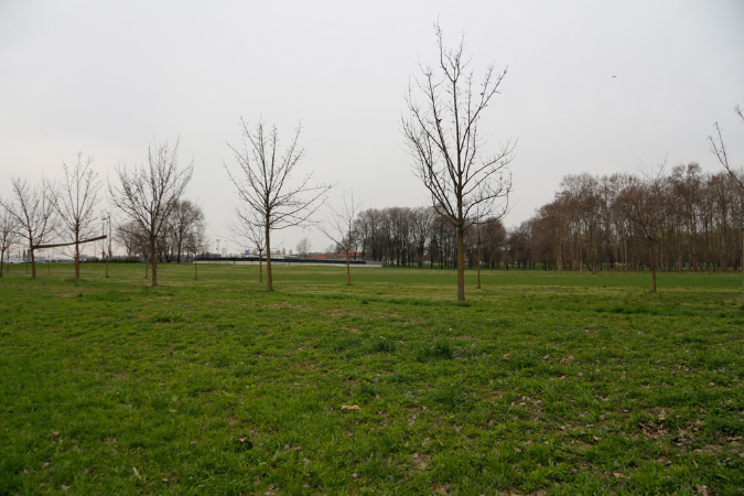 _MG_0033