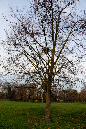 _MG_0023p